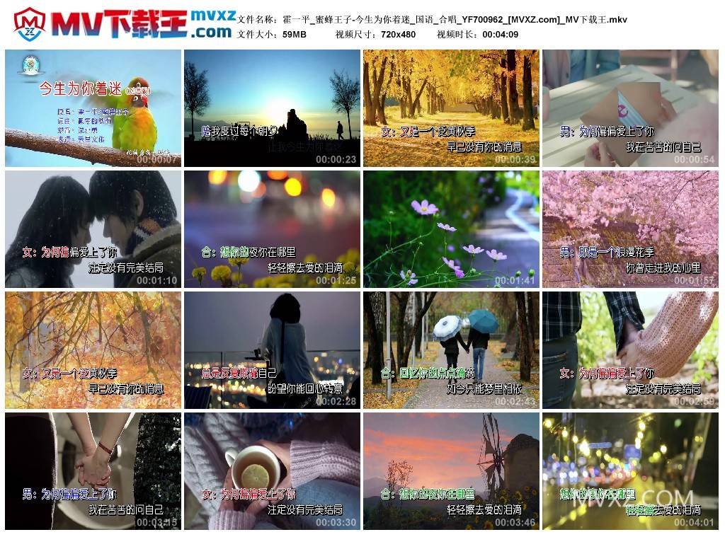 霍一平_蜜蜂王子-今生为你着迷_国语_合唱_YF700962